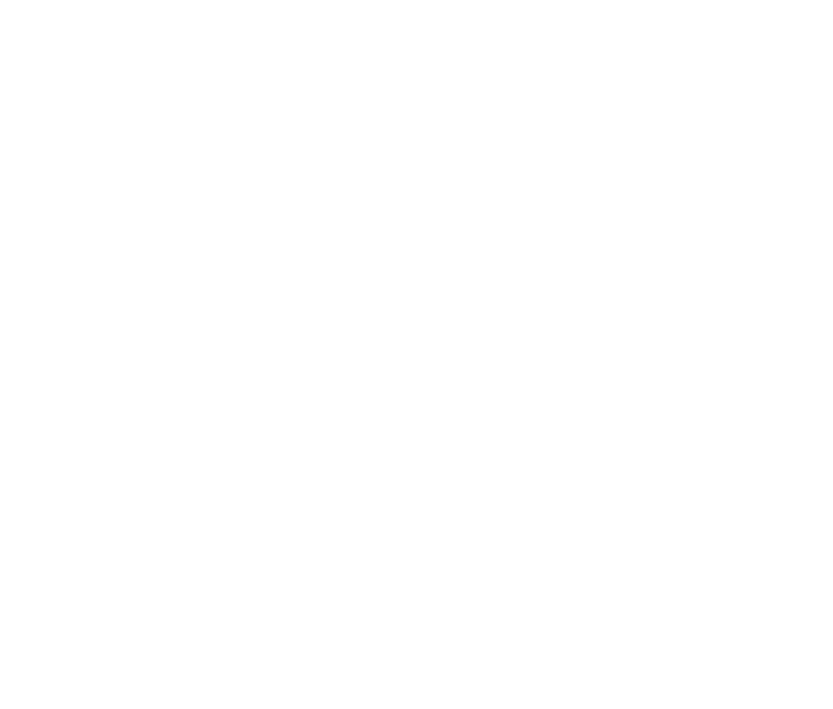 ALL SEASON GOOD NAVI